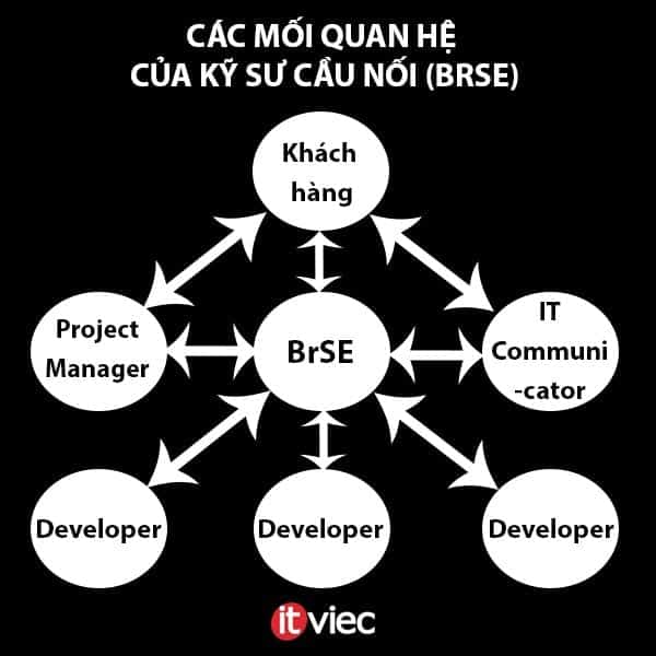 Kỹ sư cầu nối