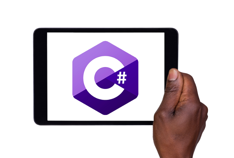 c developer 3 TECHVIFY Careers