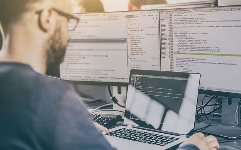 Senior Developer