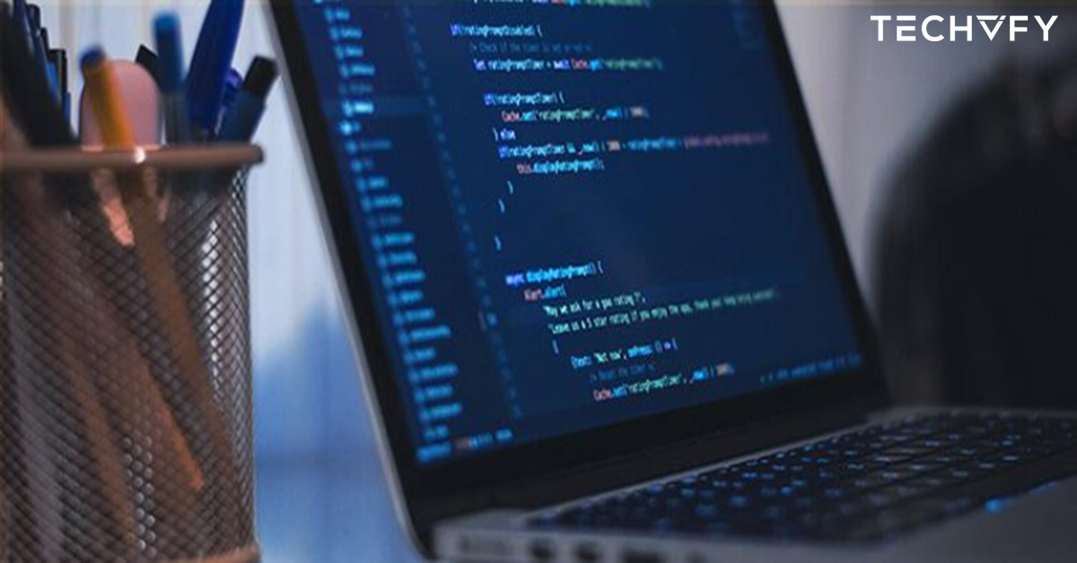.net developer